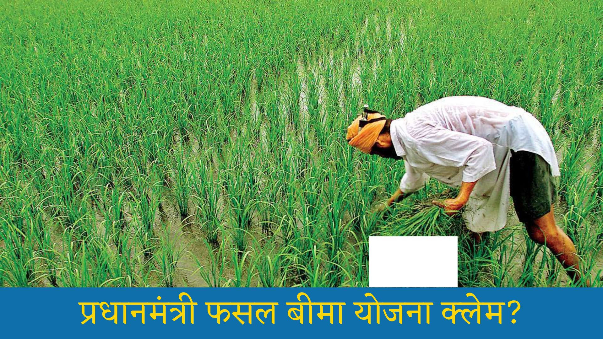 प्रधानमंत्री फसल बीमा योजना क्लेम: Pradhan Mantri Fasal Bima Yojana 2023 Beneficiary List, Apply Online Last Date, Kya Hai