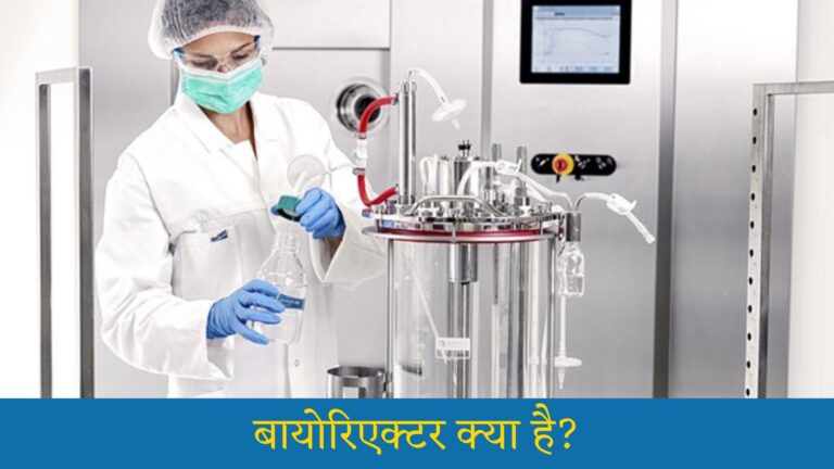 बायोरिएक्टर क्या है: Bioreactor Kya Hai